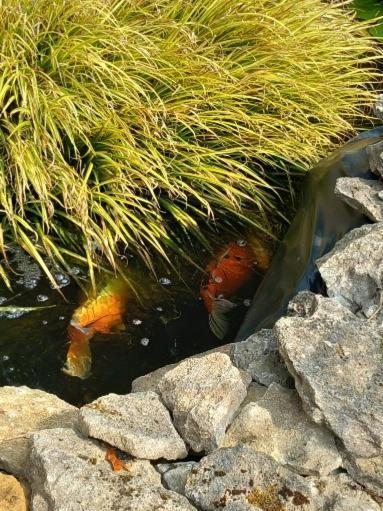 Les Allumettes D'Ecorsaint Bagian luar foto